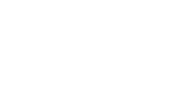 DigiCap Logo